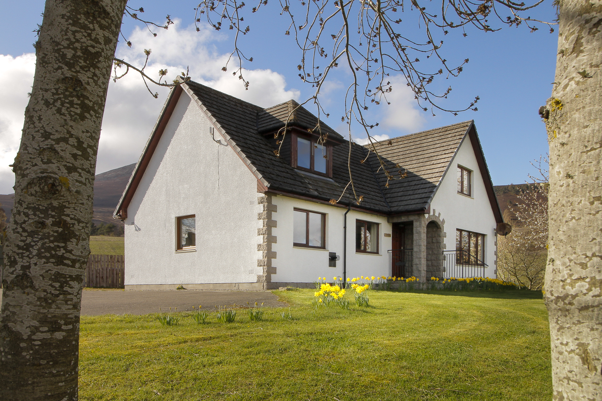 White-rendered detached home with daffodils near Glenrinnes, Moray